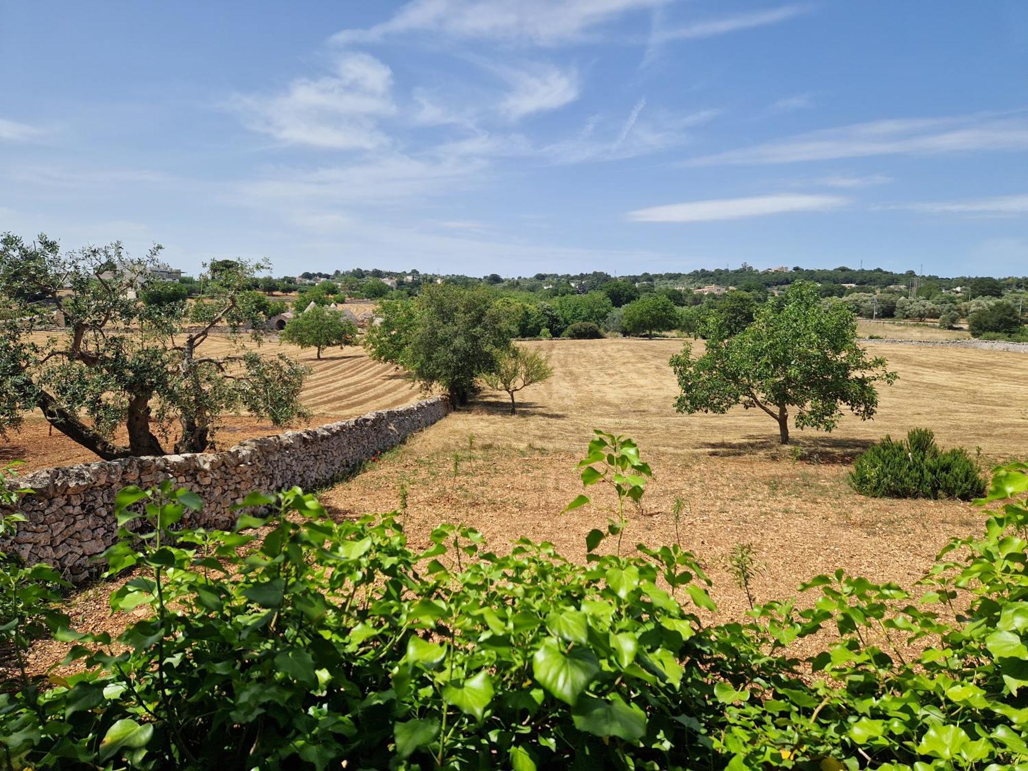 Villa Lecce Esterno foto